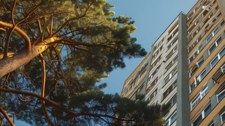Лифт без кнопок и личный SPA: что на самом деле ищут покупатели элитного жилья в России?